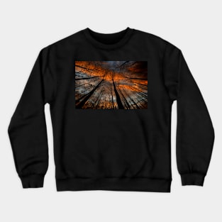 Reaching For The Sky Crewneck Sweatshirt